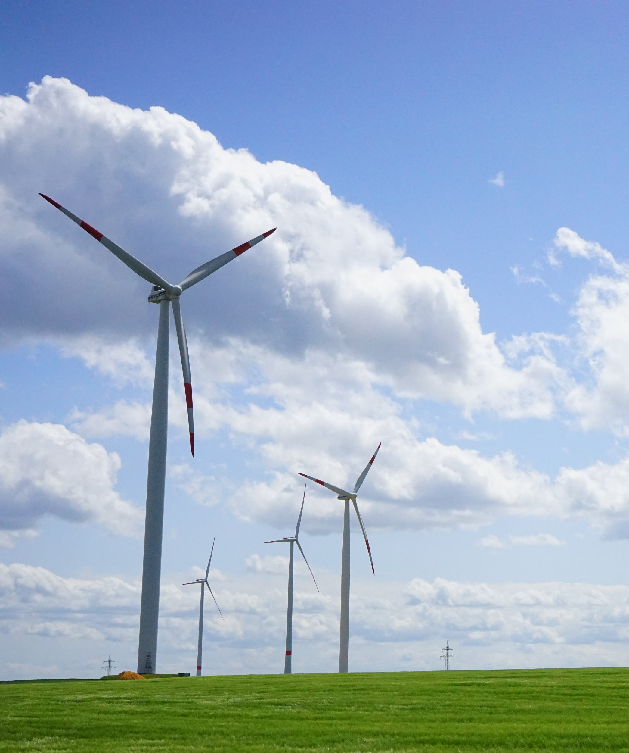 ???? ????